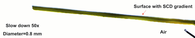 5.gif 5.gif